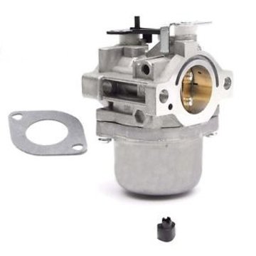 Karburátor BRIGGS&STRATTON - 495706
